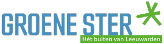Visit Groene Ster Logo